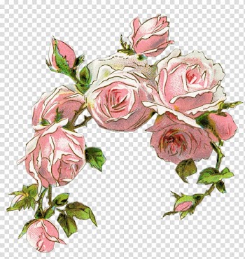 Rose Pink Vintage clothing Flower , flowers watercolor transparent background PNG clipart