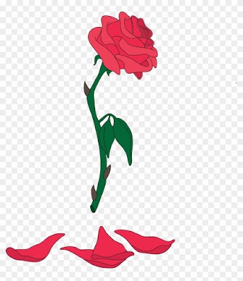 Rose Png Beauty And The Beast