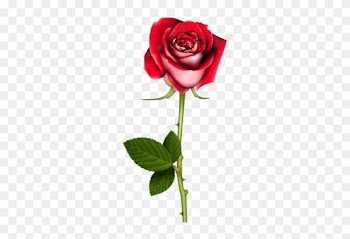 Rose Png Clip Art In Category Flowers Png / Clipart - Red Roses With Thorns