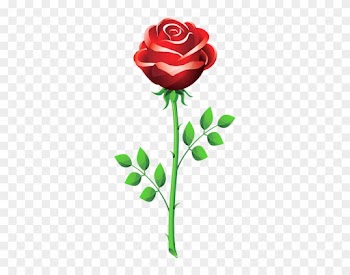 Rose Png Clip Imagem - Rose Flower Vector Png