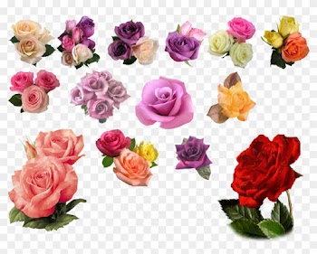 Rose Png - Deviantart Png Roses