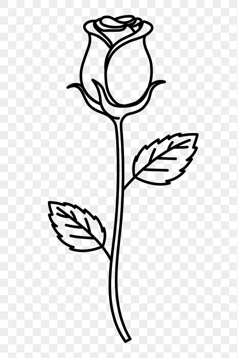 Rose png doodle sticker, black | Free PNG Illustration - rawpixel