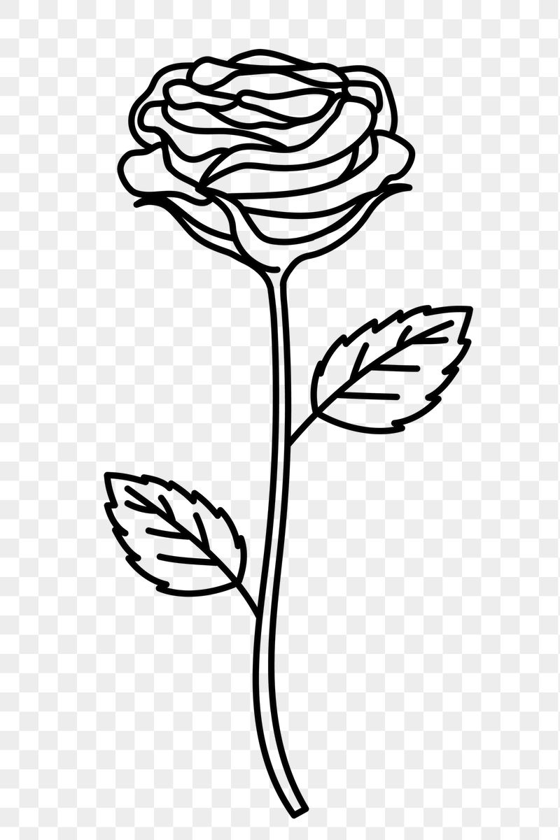 Rose png doodle sticker, black | Free PNG Illustration - rawpixel