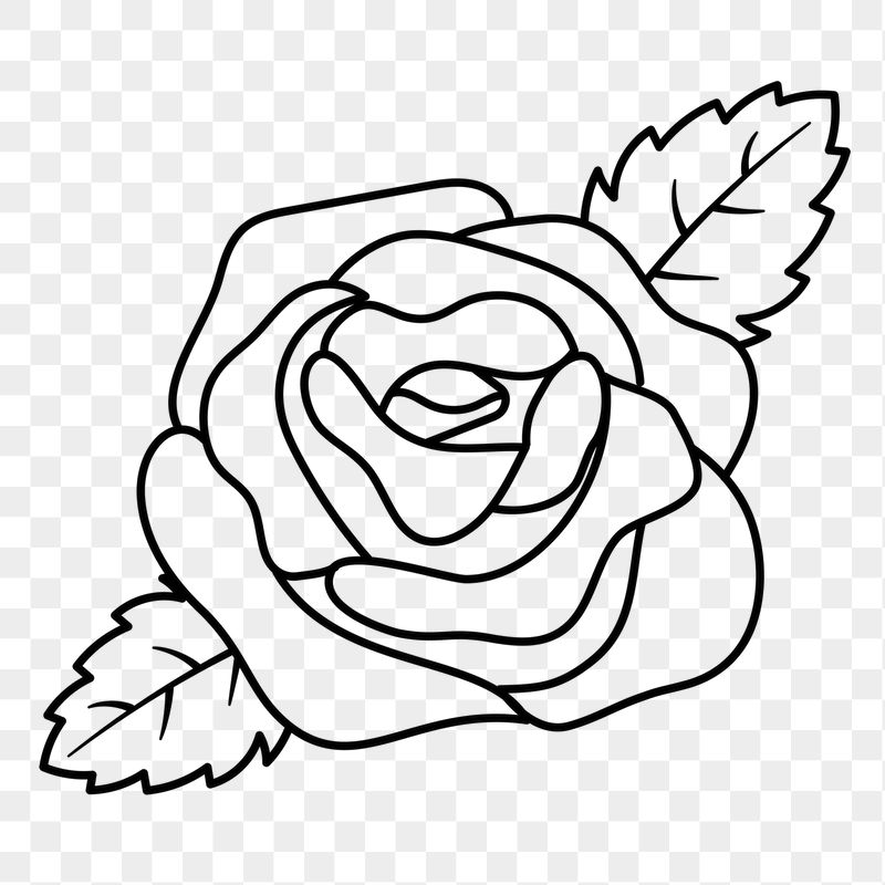 Rose png doodle sticker, black | Free PNG Illustration - rawpixel
