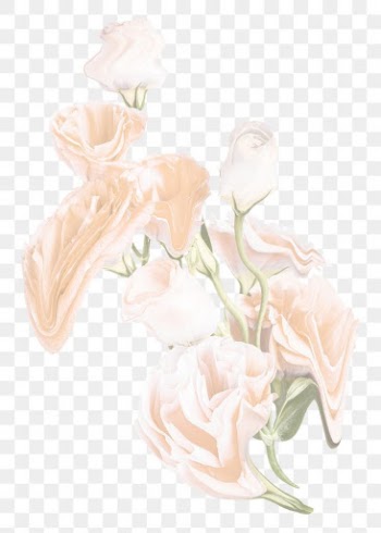 Rose PNG flower sticker, pastel white trippy… | Free stock illustration | High Resolution graphic