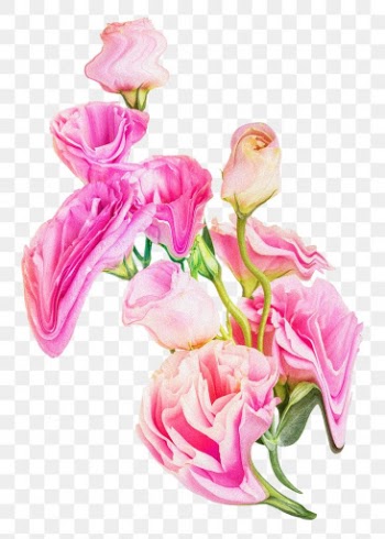 Rose PNG flower sticker, pink trippy… | Free stock illustration | High Resolution graphic