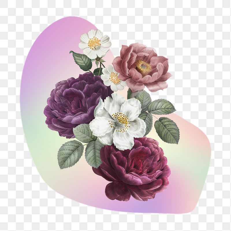 Rose png  on gradient | Free PNG - rawpixel