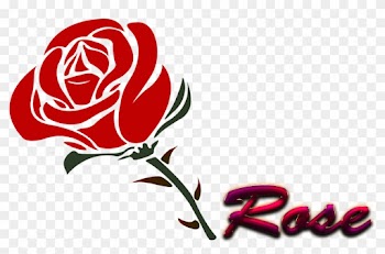 Rose Png Picture - Rose Vector Png