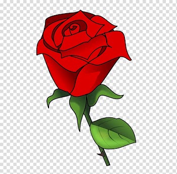 Rose Public domain , Watercolor roses transparent background PNG clipart