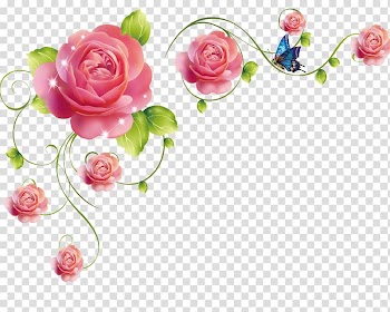 Rose rattan transparent background PNG clipart
