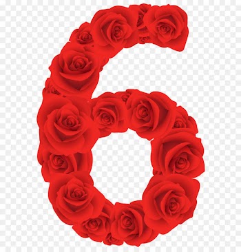 Rose Red Clip art - Red Roses Number Six PNG Clipart Image 