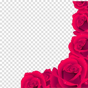 Rose , Red fresh bones border texture transparent background PNG clipart