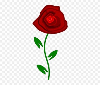 Rose, Red, Nature, Plant - Rose
