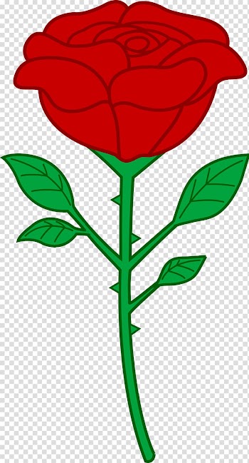 Rose Red , Rose transparent background PNG clipart