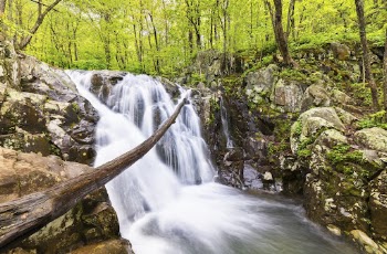 Rose River Falls, forest stream | Free Photo - rawpixel