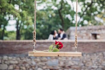 Rose Romance