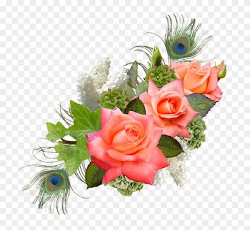 Rose, Rose Flower, Hydrangeas, Lilac, Peacock - Wedding Wishes
