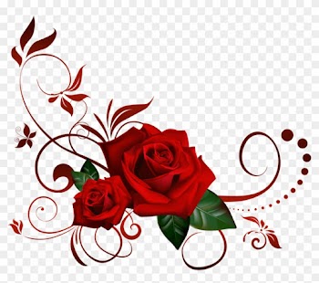 Rose - Rose Png