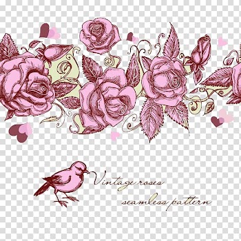 Rose , rose,Rose,flower transparent background PNG clipart