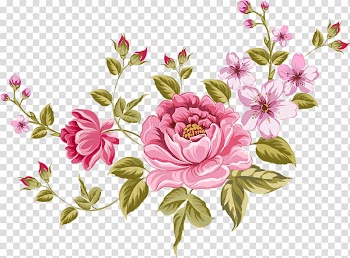 Rose , rose transparent background PNG clipart