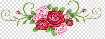 Rose , rose transparent background PNG clipart