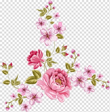 Rose, rose transparent background PNG clipart