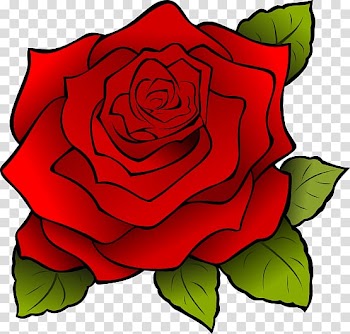 Rose , Rose transparent background PNG clipart