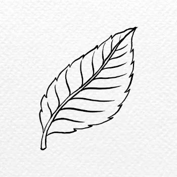 Rose&rsquo;s leaf tattoo art, black | Free PSD Illustration - rawpixel