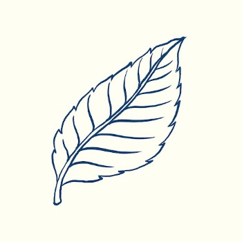 Rose&rsquo;s leaf tattoo art, blue | Free PSD Illustration - rawpixel