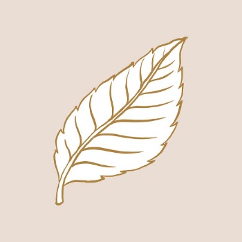Rose&rsquo;s leaf tattoo art, brown | Free PSD Illustration - rawpixel