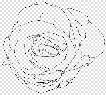 Rose Screentone , black abstract illustration transparent background PNG clipart