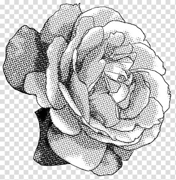 Rose Screentone , gray rose in bloom illustration transparent background PNG clipart