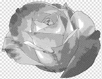 Rose Screentone , gray rose sketch transparent background PNG clipart