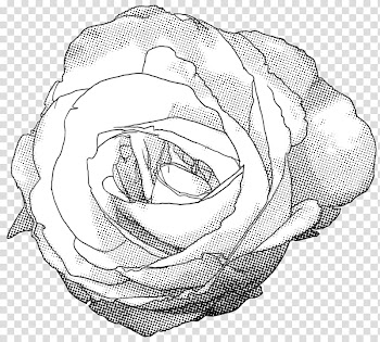 Rose Screentone , rose illiustration transparent background PNG clipart
