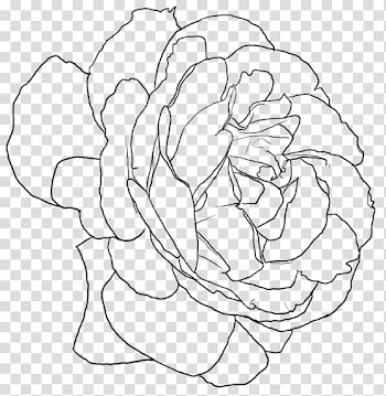 Rose Screentone , rose illustration transparent background PNG clipart