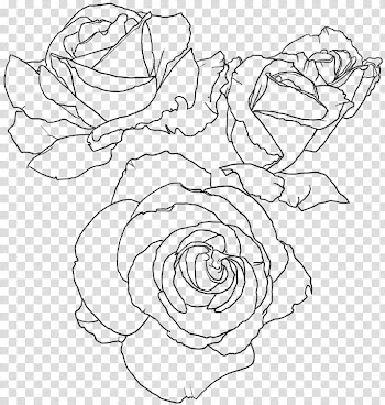 Rose Screentone , three rose flowers illustration transparent background PNG clipart