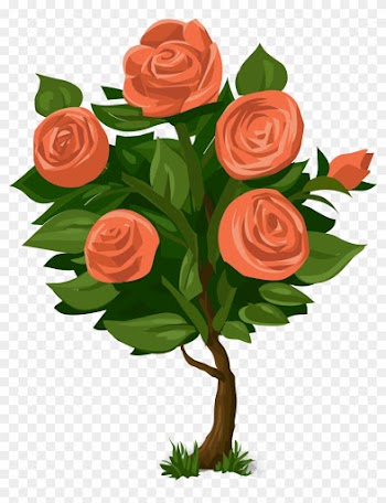 Rose Shrub Flower Clip Art - Rose Bush Clip Art