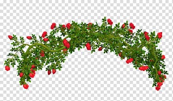 Rose Shrub , Green Bush transparent background PNG clipart