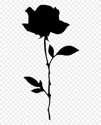 Rose Silhouette - Rose Silhouette Transparent Background