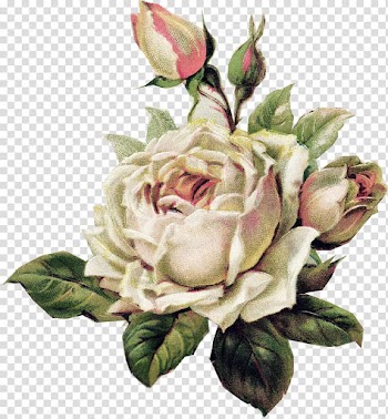 Rose Sleeve tattoo Flower , watercolor rose transparent background PNG clipart