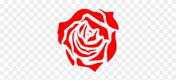 Rose Stamp By Youngstercarolo - Garden Roses
