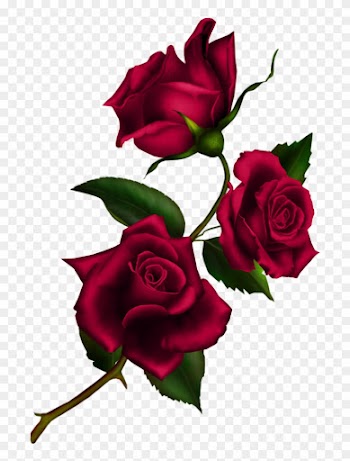 Rose Stem By Autumns-muse - Kiss From A Rose