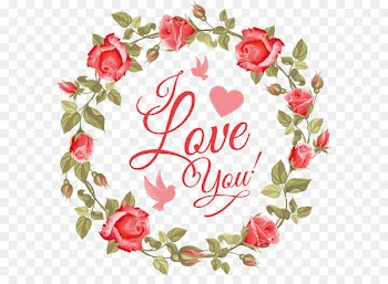 Rose Stock photography Flower - Flower Box 