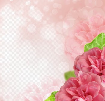 Rose Stock photography Microsoft PowerPoint Flower - Pink hibiscus edge 