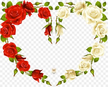 Rose Stock photography Picture Frames Clip art - lovely text 
