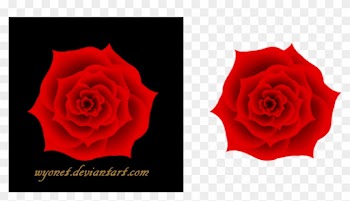 Rose Stock Png By Wyonet - 3d Red Rose Png
