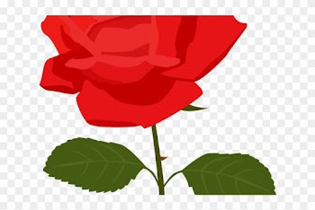 Rose Tattoo Clipart Rose Clip Art - Rose Clipart No Background