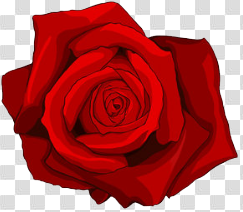 Rose Tattoo Free Download Png