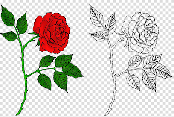 Rose Tattoo PNG Free Download