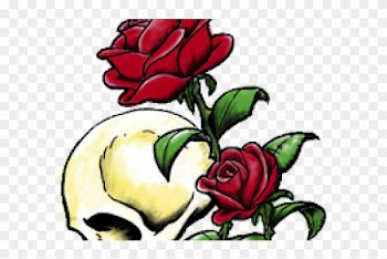 Rose Tattoo Png Transparent Images - Hybrid Tea Rose